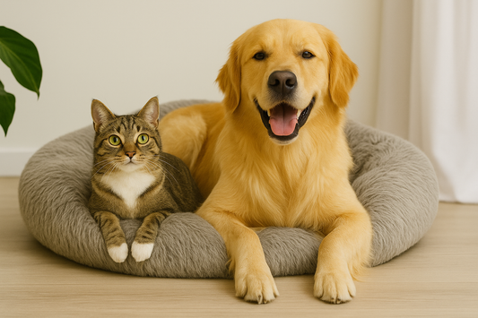 5 Signs Your Dog Has Sleep Anxiety — and How a Calming Bed Helps
