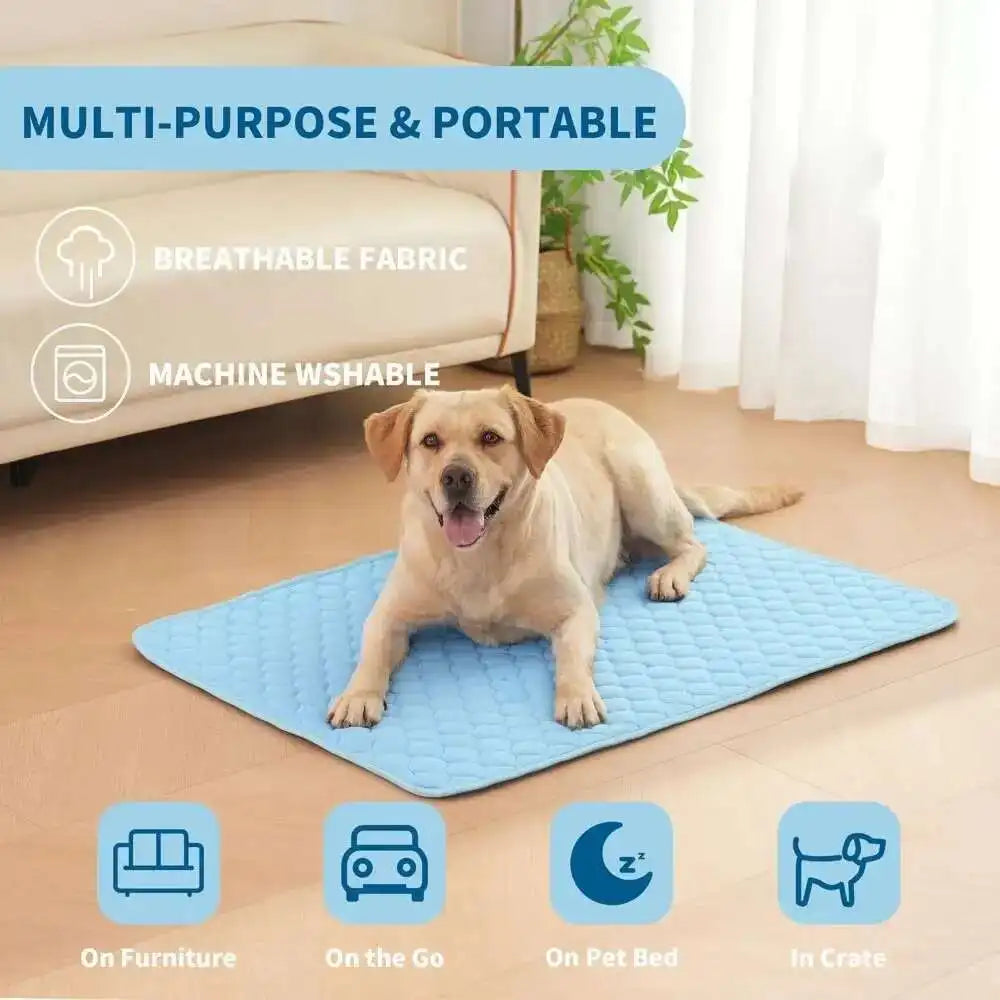 Cooling Mats vs. Traditional Beds: Keeping Pets Comfy in Summer