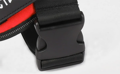 Custom No-Pull Reflective Dog Harness with Personalised Name Patch (XS-XXL)