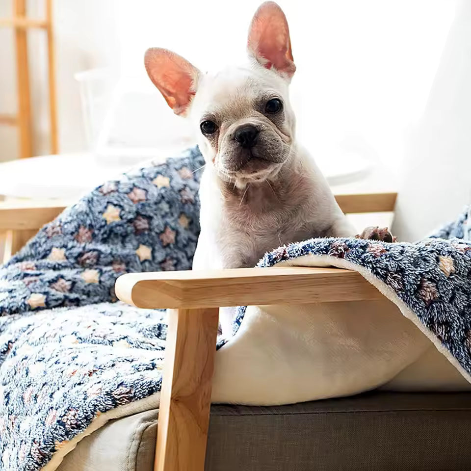My Snug Pet Coral-Fleece Calming Blanket – Soft Dog & Cat Mat (S · M · L · XL)