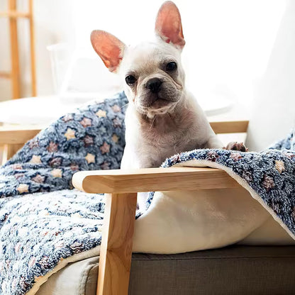 My Snug Pet Coral-Fleece Calming Blanket – Soft Dog & Cat Mat (S · M · L · XL)