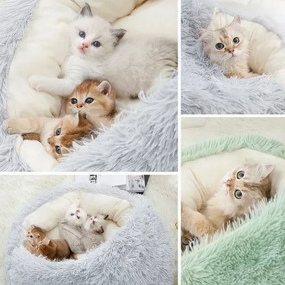 MySnugPet 2-in-1 Hooded Plush Cat & Small-Dog Bed – Self-Warming Winter Nest