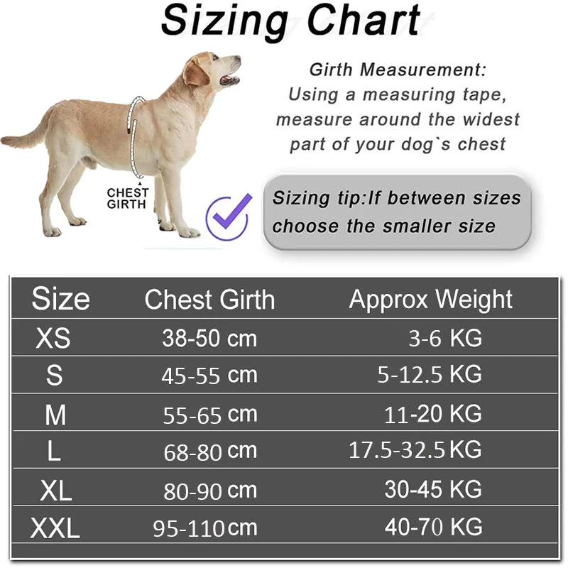 Custom No-Pull Reflective Dog Harness with Personalised Name Patch (XS-XXL)