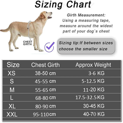 Custom No-Pull Reflective Dog Harness with Personalised Name Patch (XS-XXL)